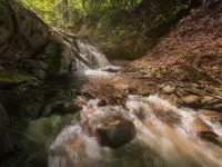 Not Accidental Chaos