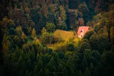 The Essence of Aloness