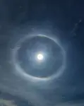 halo