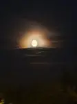 Łysy na niebie