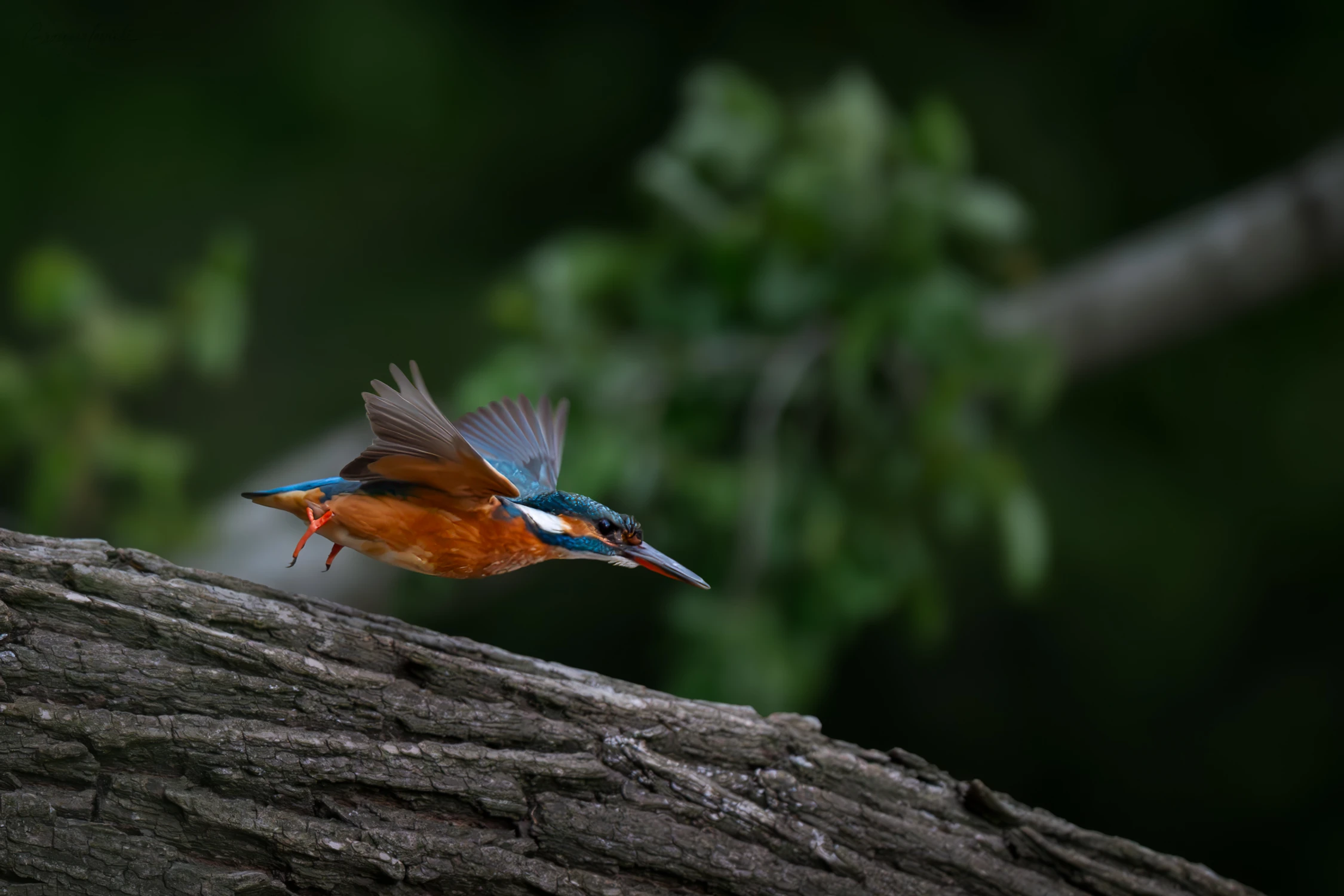 Take of