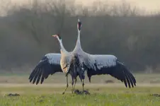 podejście 2-gie 🩵💚