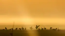 tam zawsze coś się dzieje