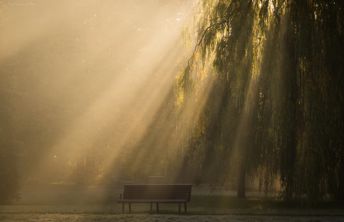 Kurtyna