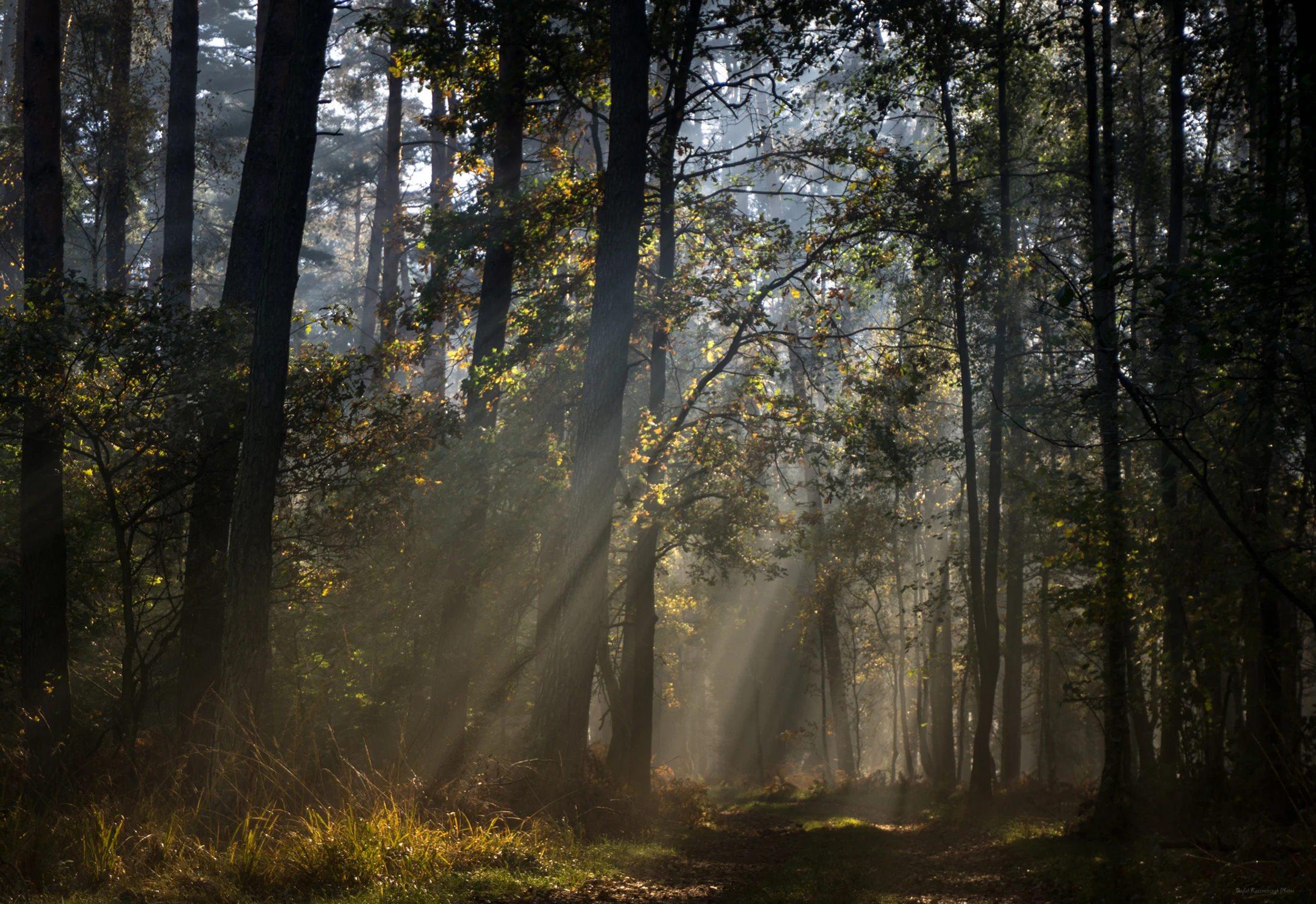 Światło moją nawigacją 