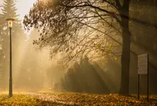 Wspomnienie pewnego poranka