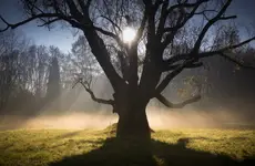 Piękne przywitanie nowego dnia 