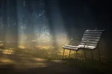 Na granicy mgły i słońca