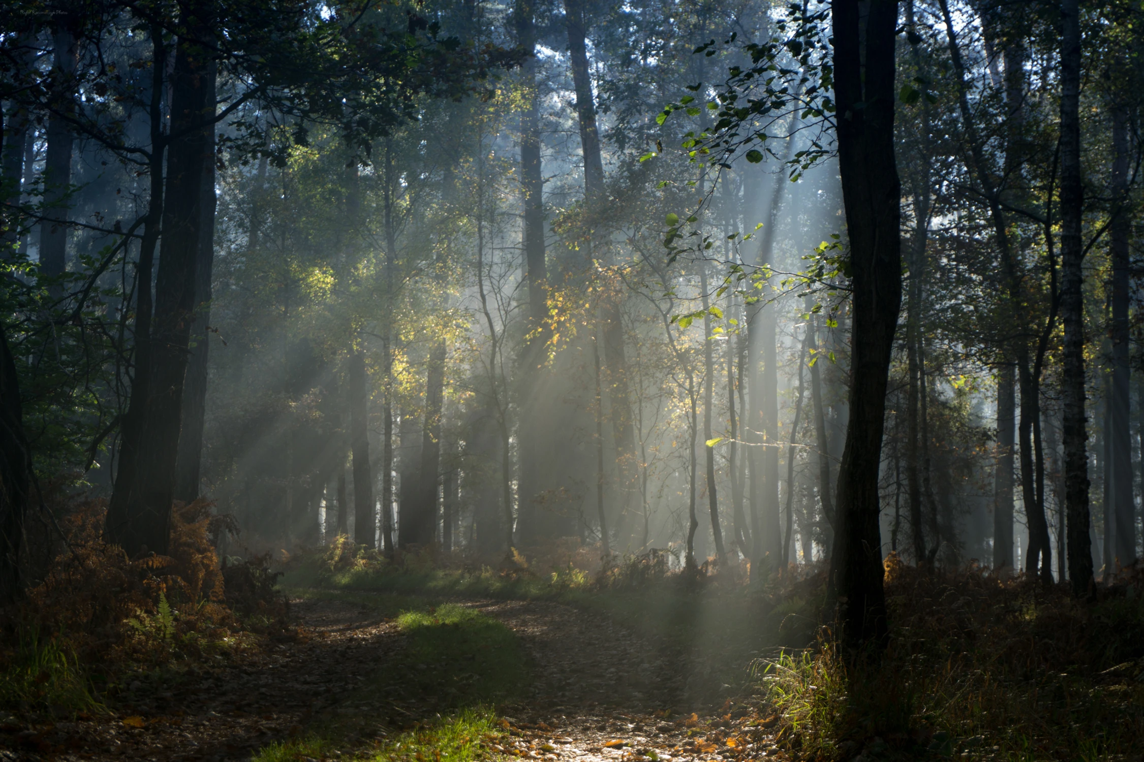 Słoneczne pieszczoty