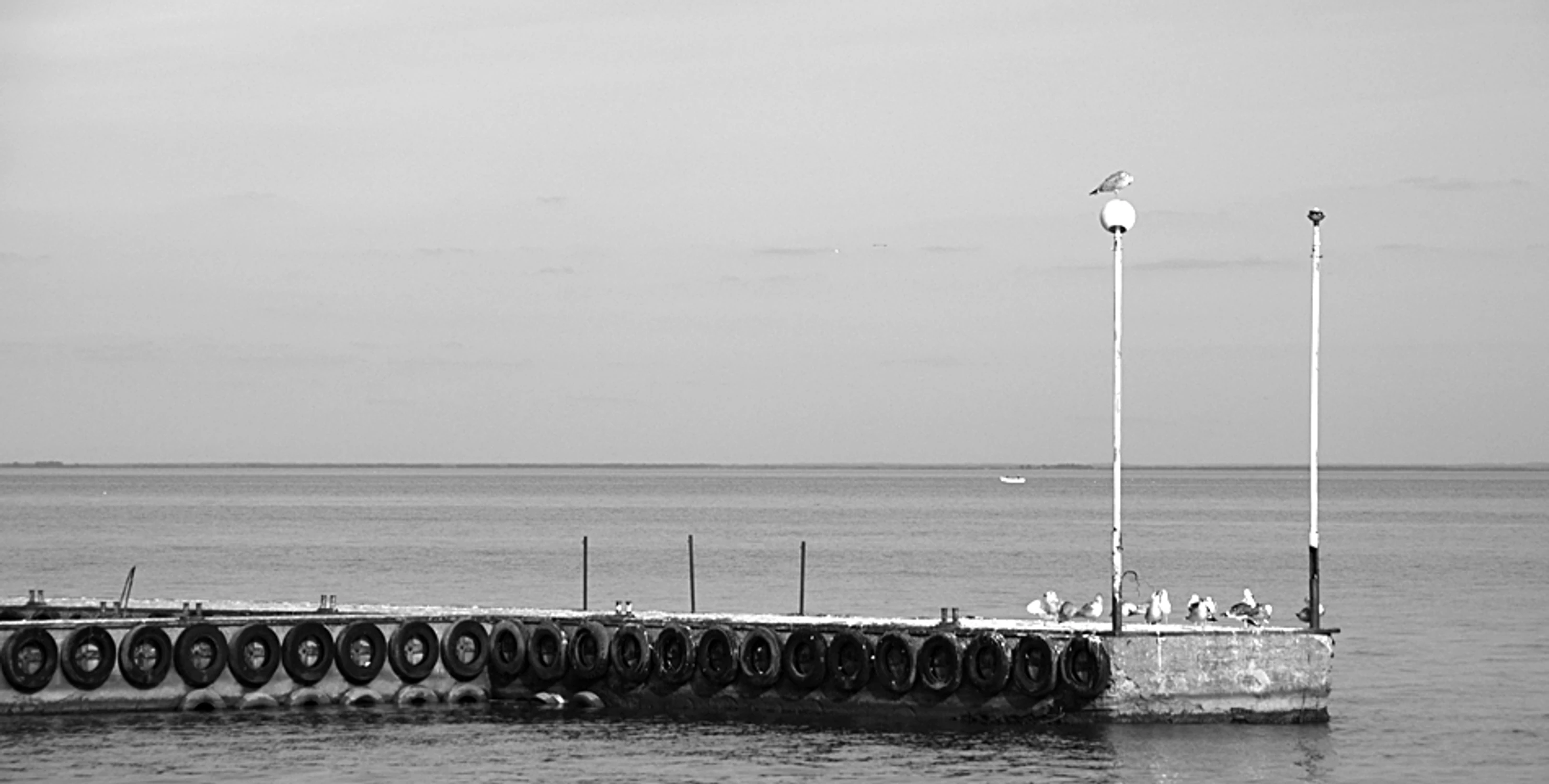 Morza szum, ptaków śpiew