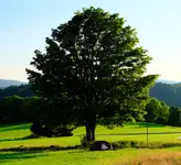 DSCF3688