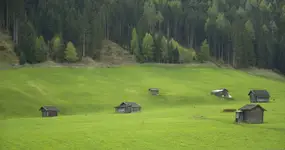 DSCF2233