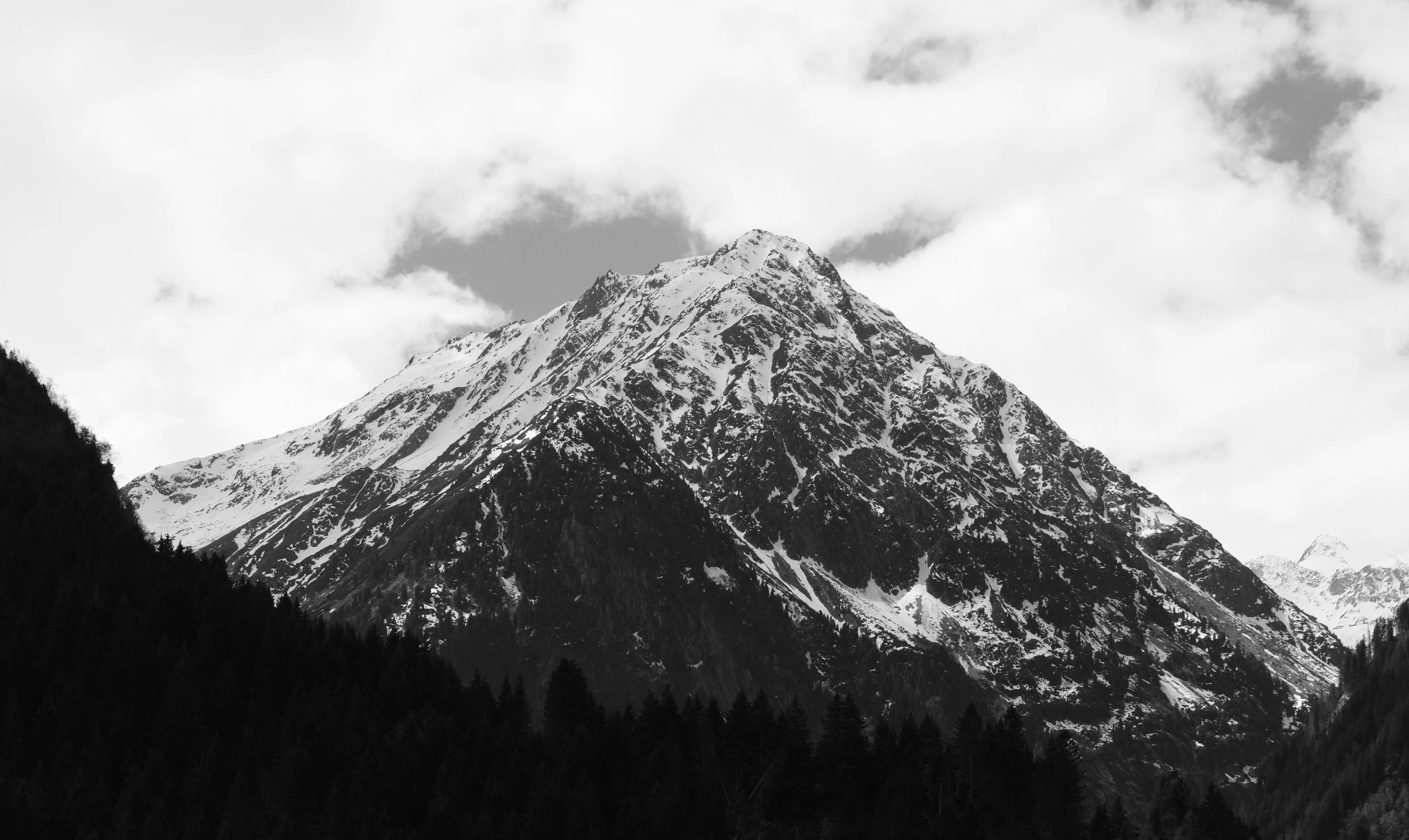 DSCF2331