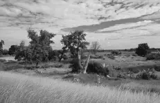 DSCF0051