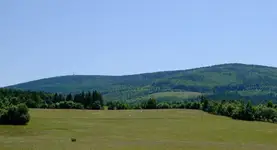 wielka i mała sowa