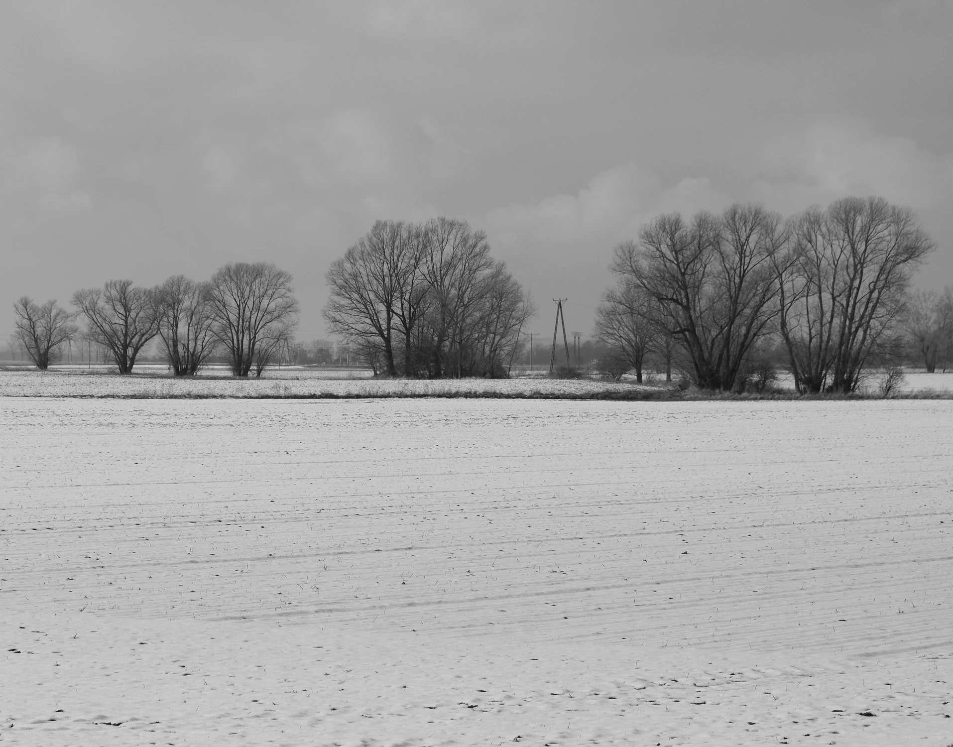 DSCF0938