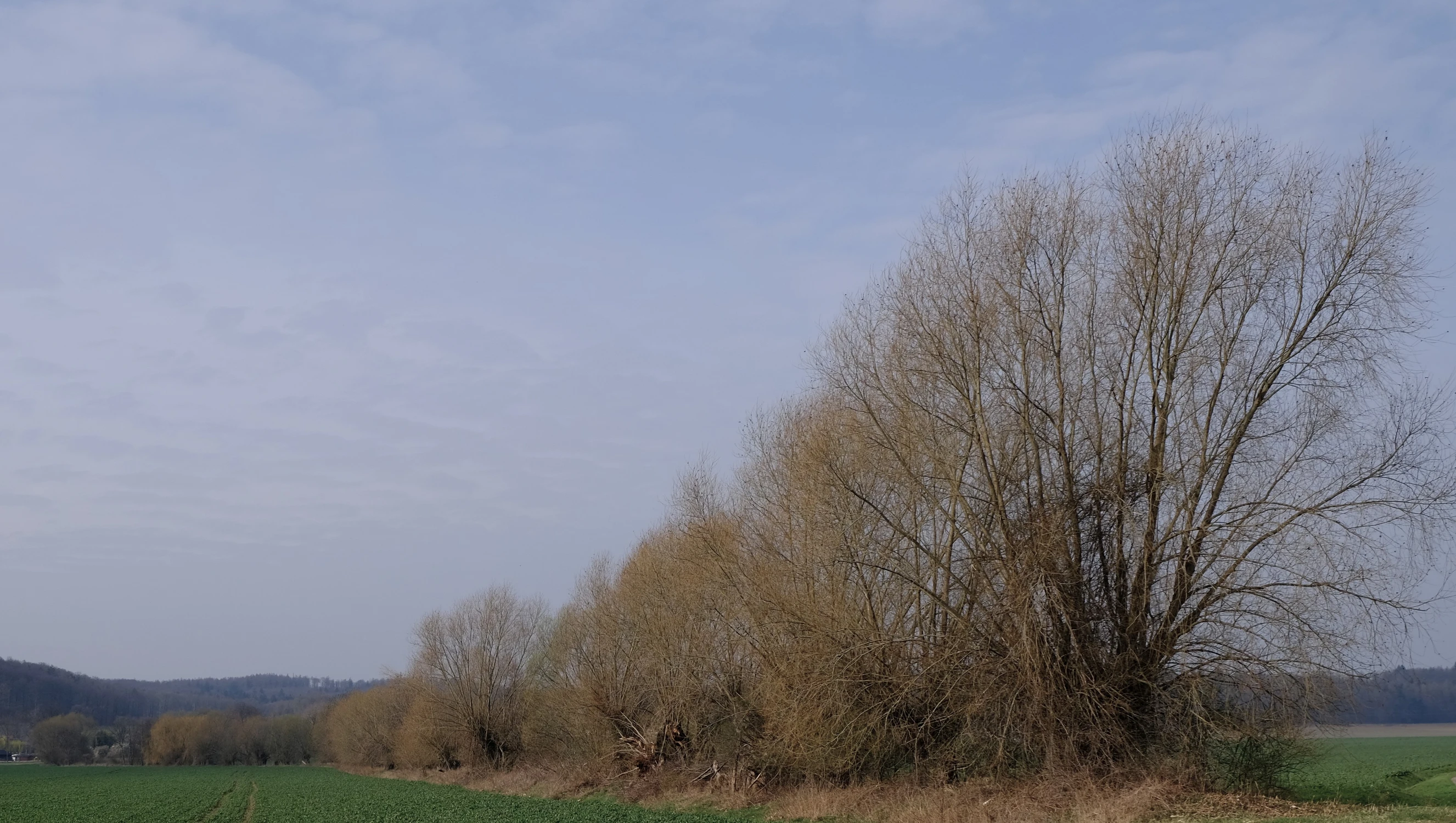 DSCF1342
