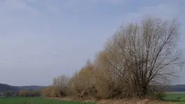 DSCF1342