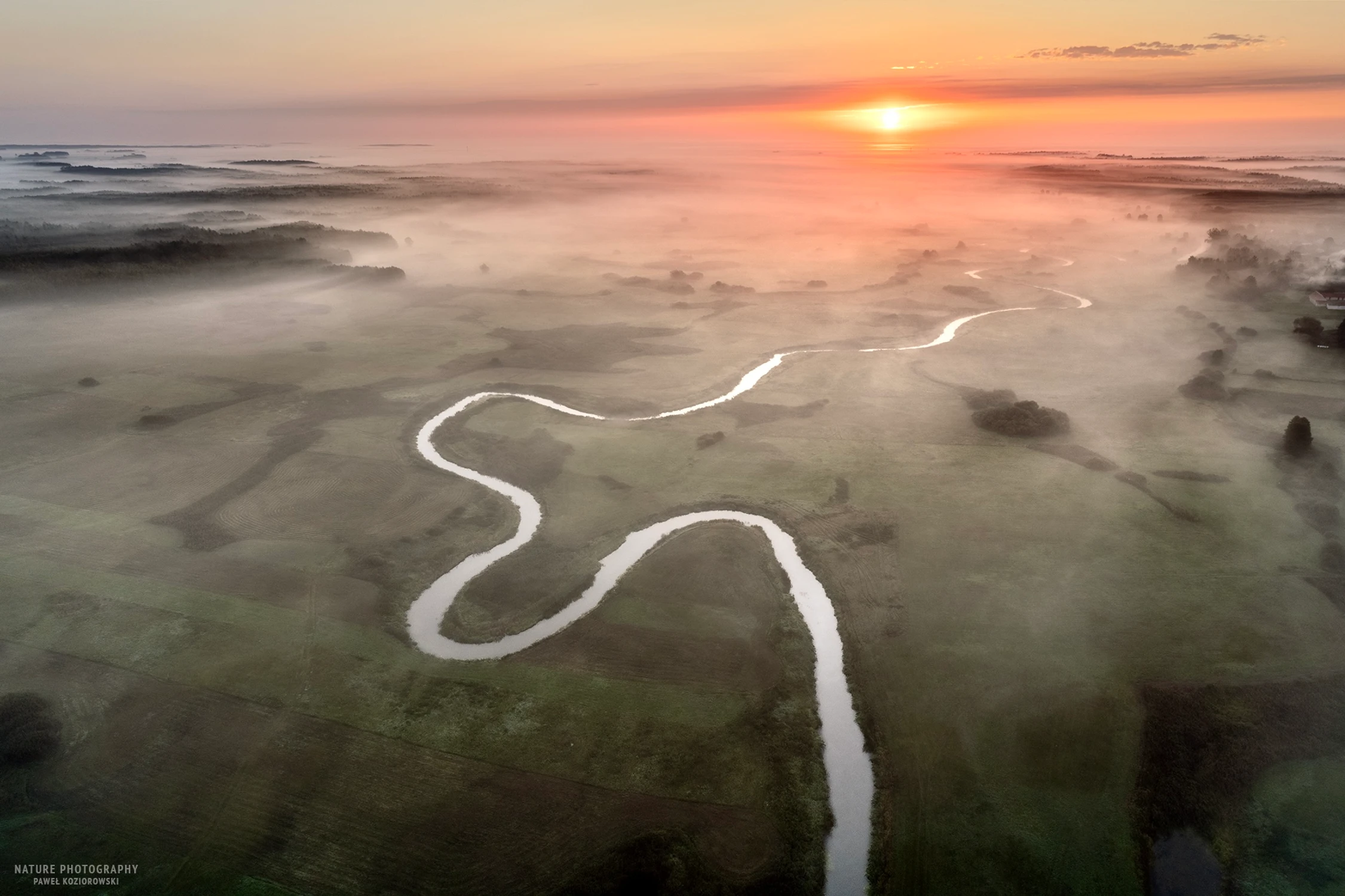 Narew