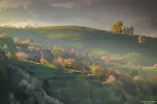 Poranek