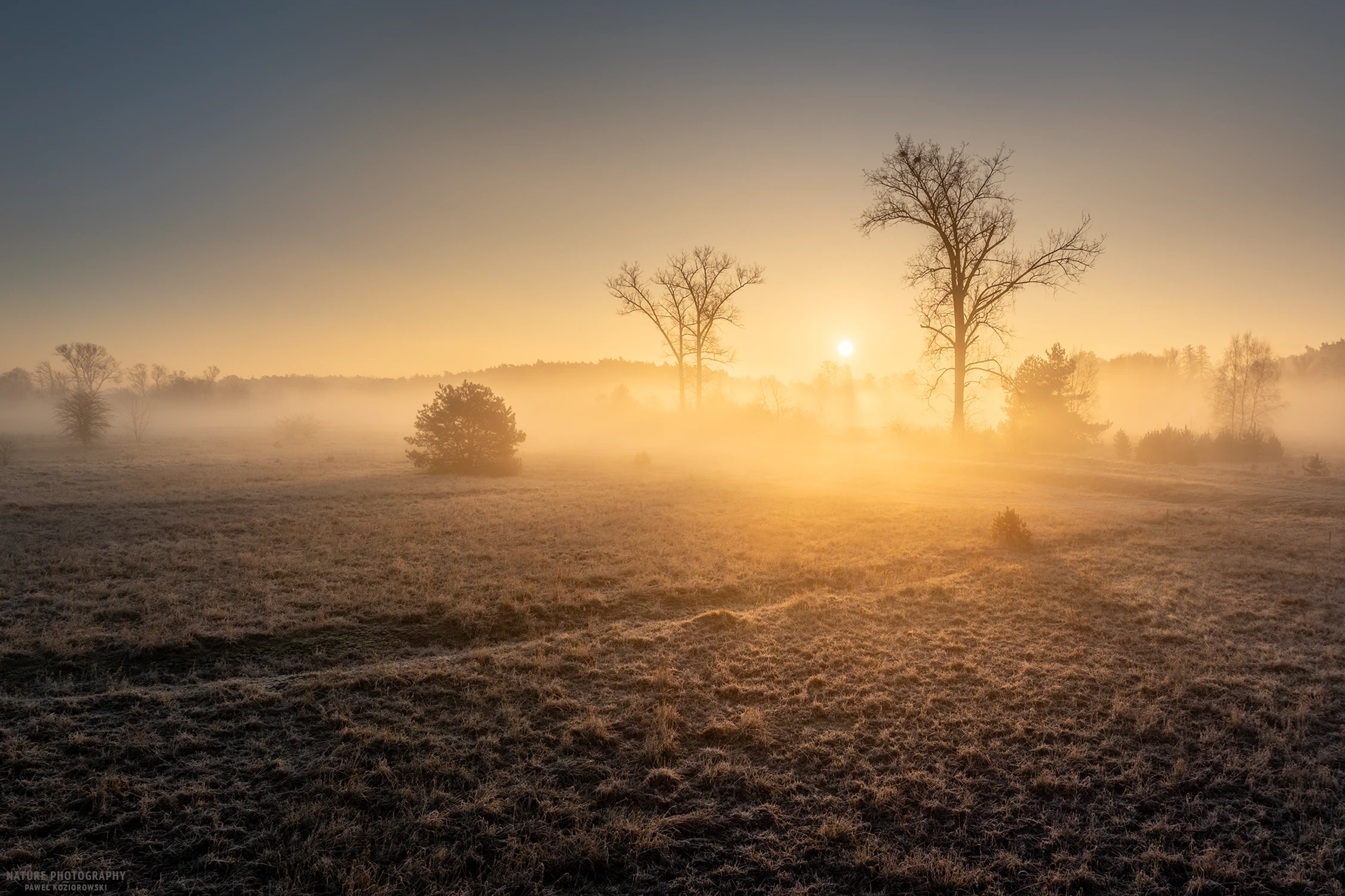 Łąki nad Nerem koło Lutomierska