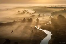 Narew o poranku