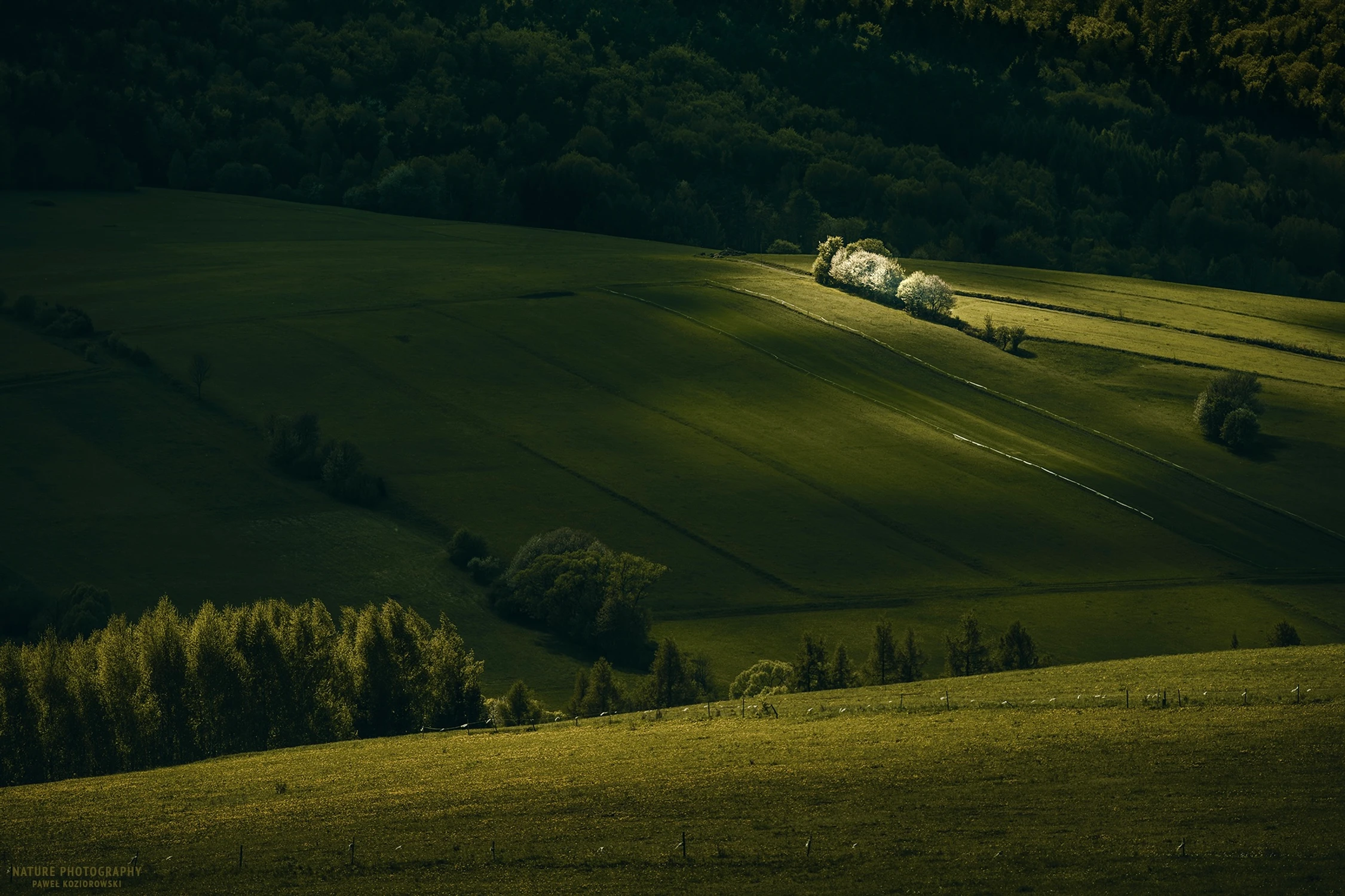 Beskid Niski