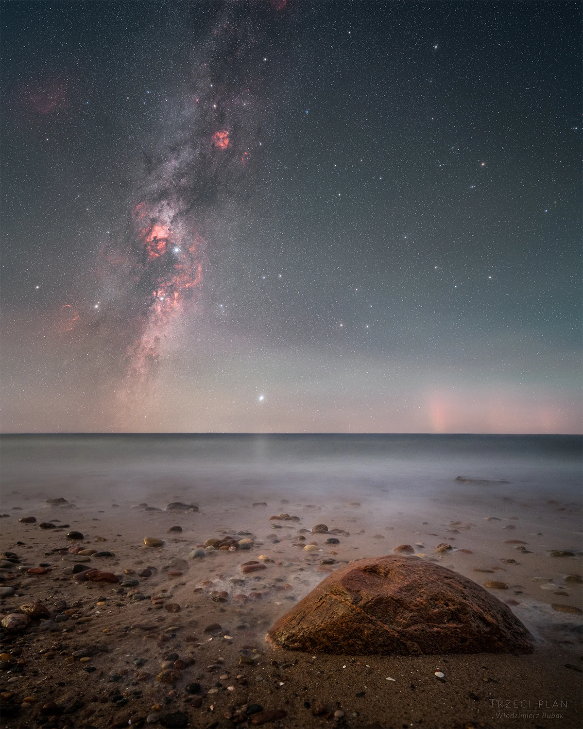 Łabędź nurkujący w Bałtyku