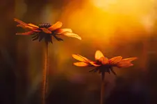 on a July afternoon.....