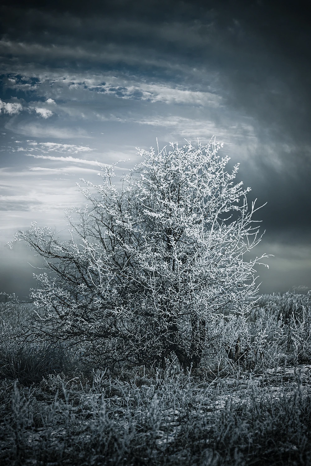 the last breath of winter....