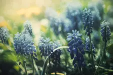 Painted with light.....