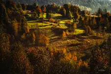 Autumn colors, light and shadows...