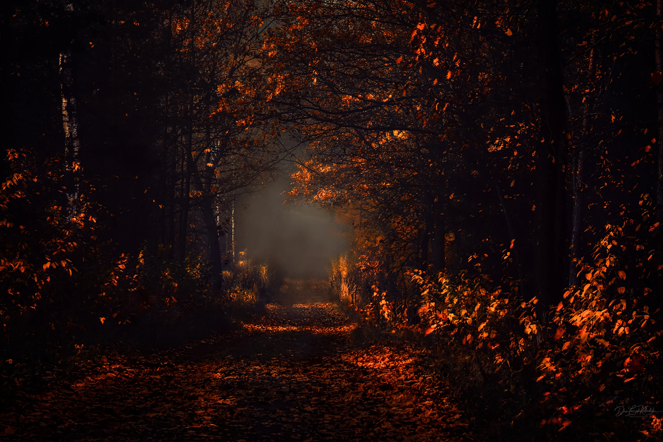 November morning.....