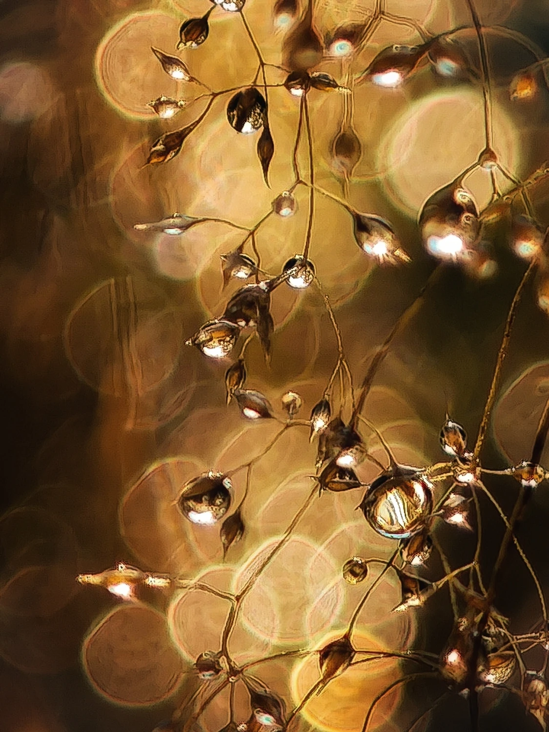 Komiksowo-kolorowo...