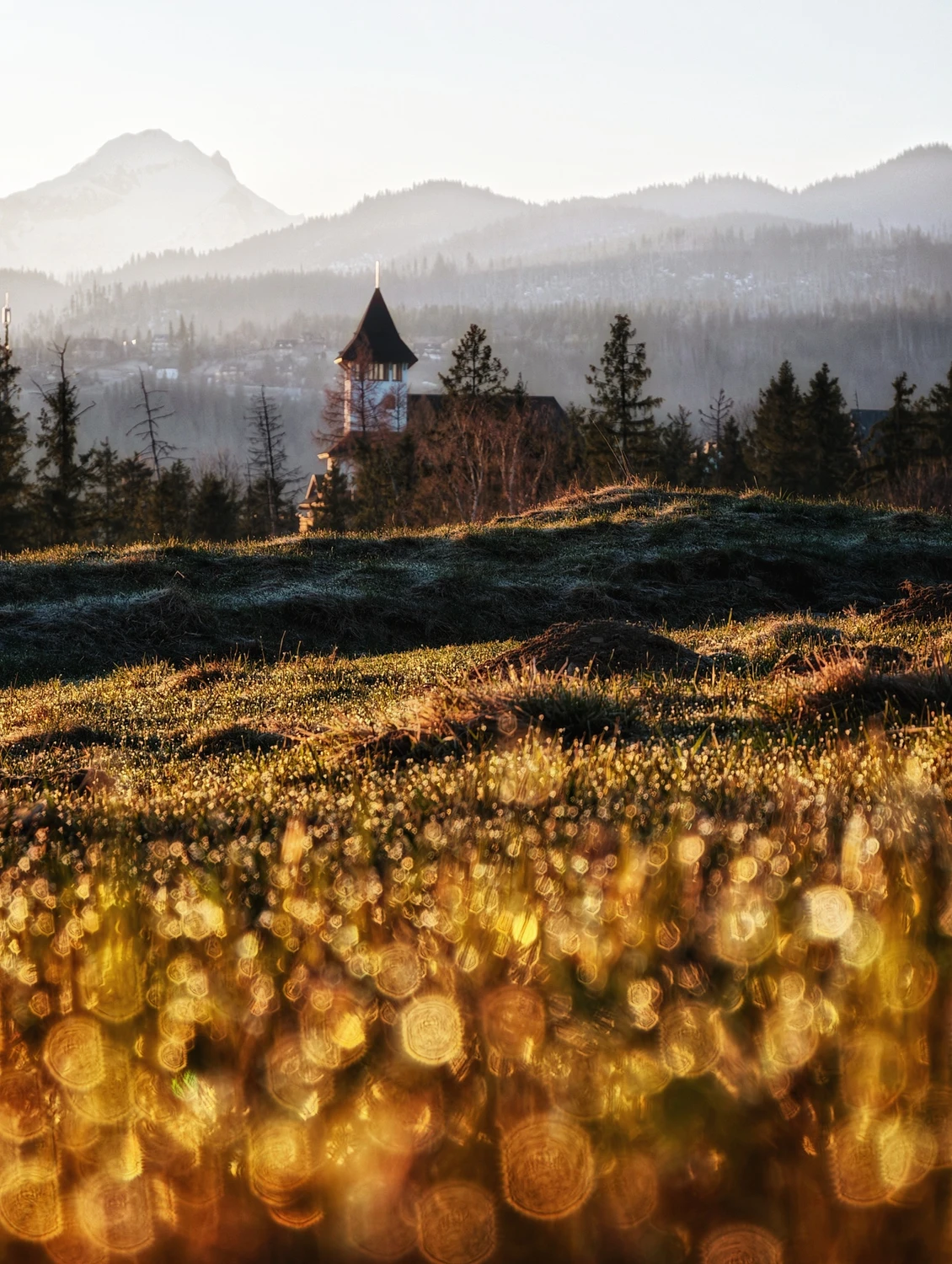 Bardzo wczesny poranek...