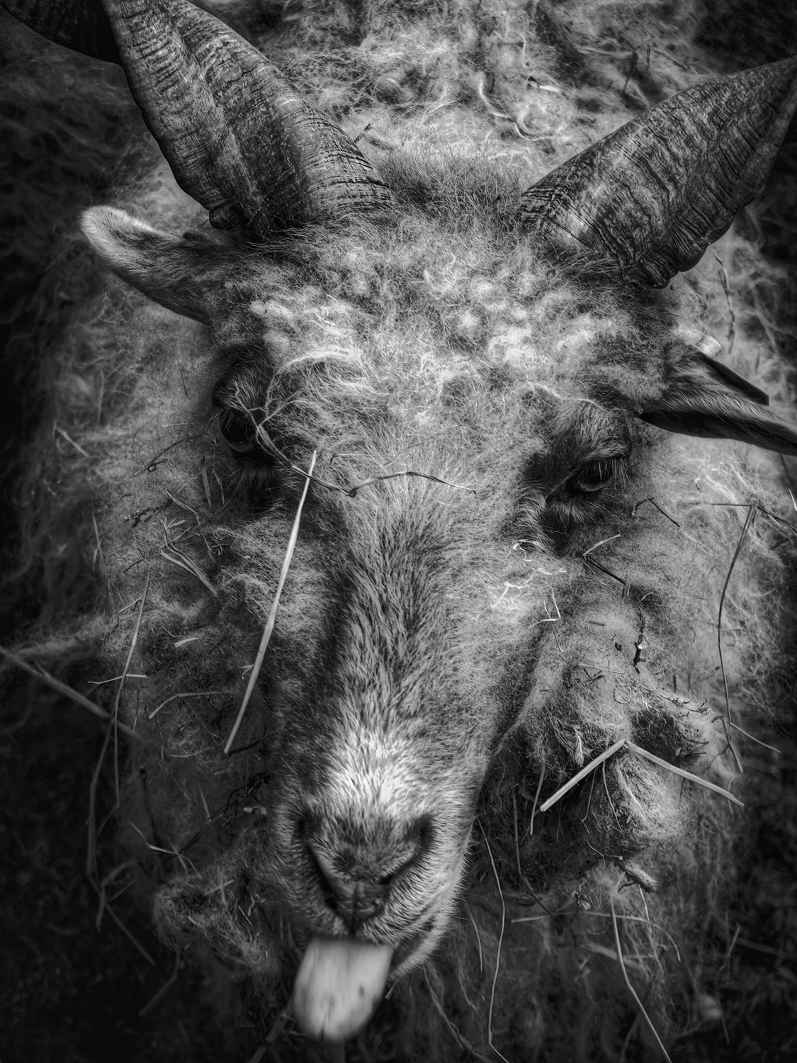 Na krawędzi autoportretu....;)