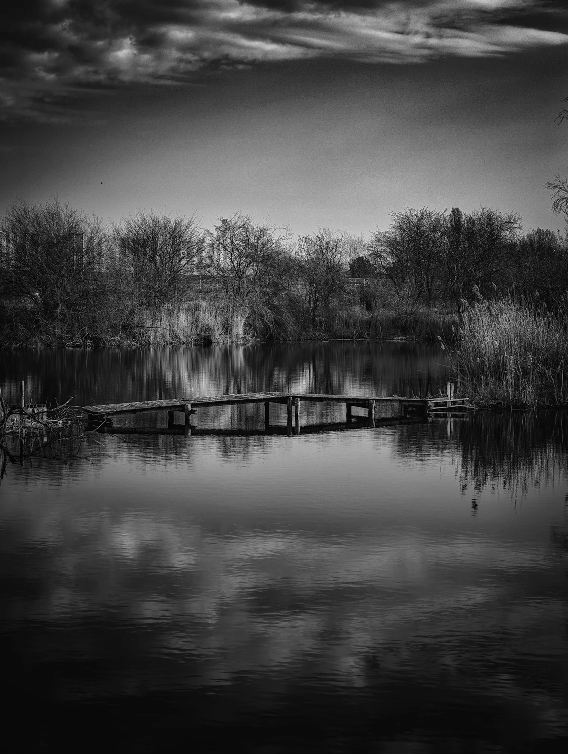 Nad rzeczką opodal krzaczka...