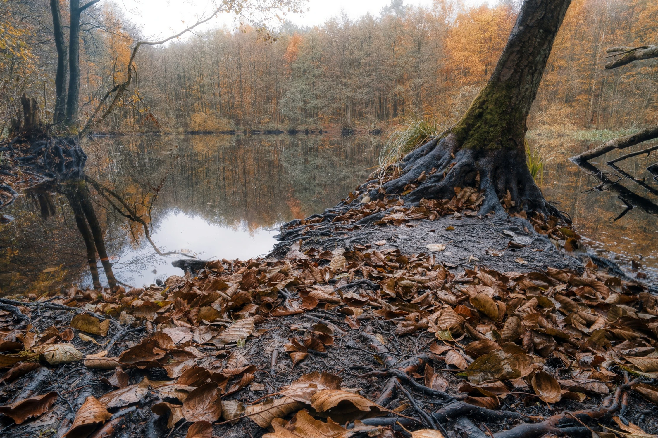 .𖥔 ݁ ˖🍁๋࣭ ⭑🍂༘⋆ 🏞️