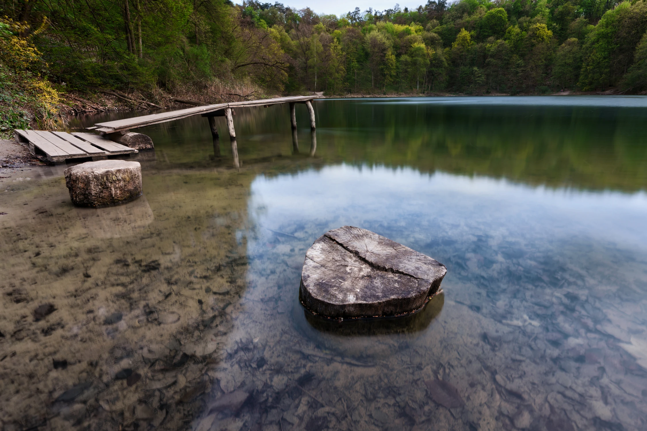 ˚˖𓍢ִ໋`🌿:✧˚.📷⋆𖧧