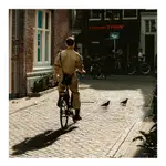 Bikes and Pigeons