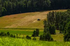"Ciapek" przy pracy:)