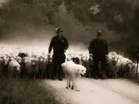 idą