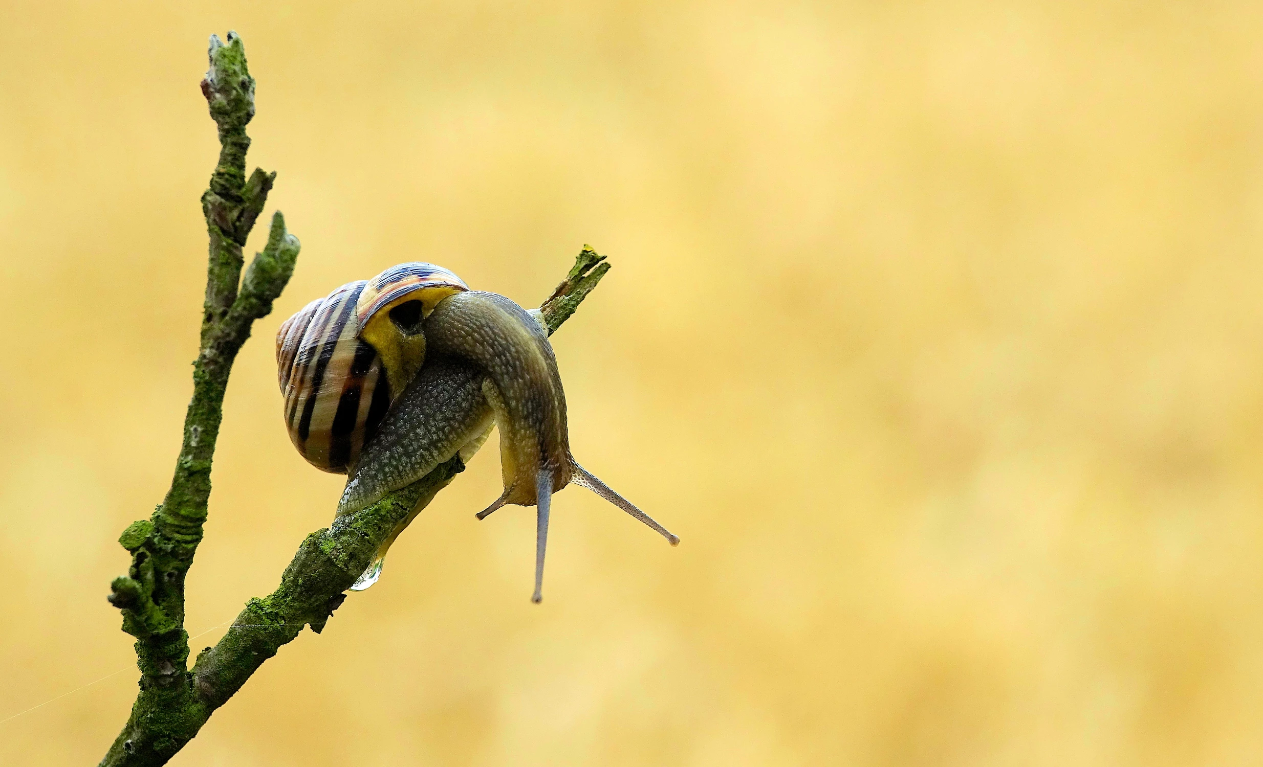 ... nooo ... i popuściłem :)
