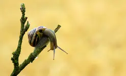 ... nooo ... i popuściłem :)