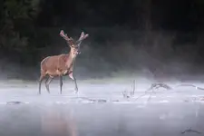 Przejście 