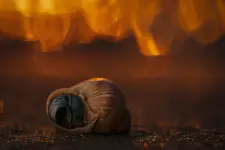 Pod niebem płonącym