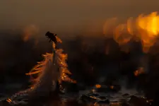 Śmierć na szczycie