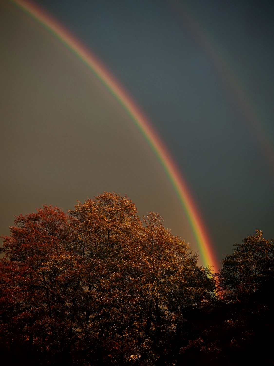 Daaaawno nie widzialam....