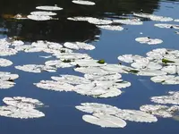 Na wodzie