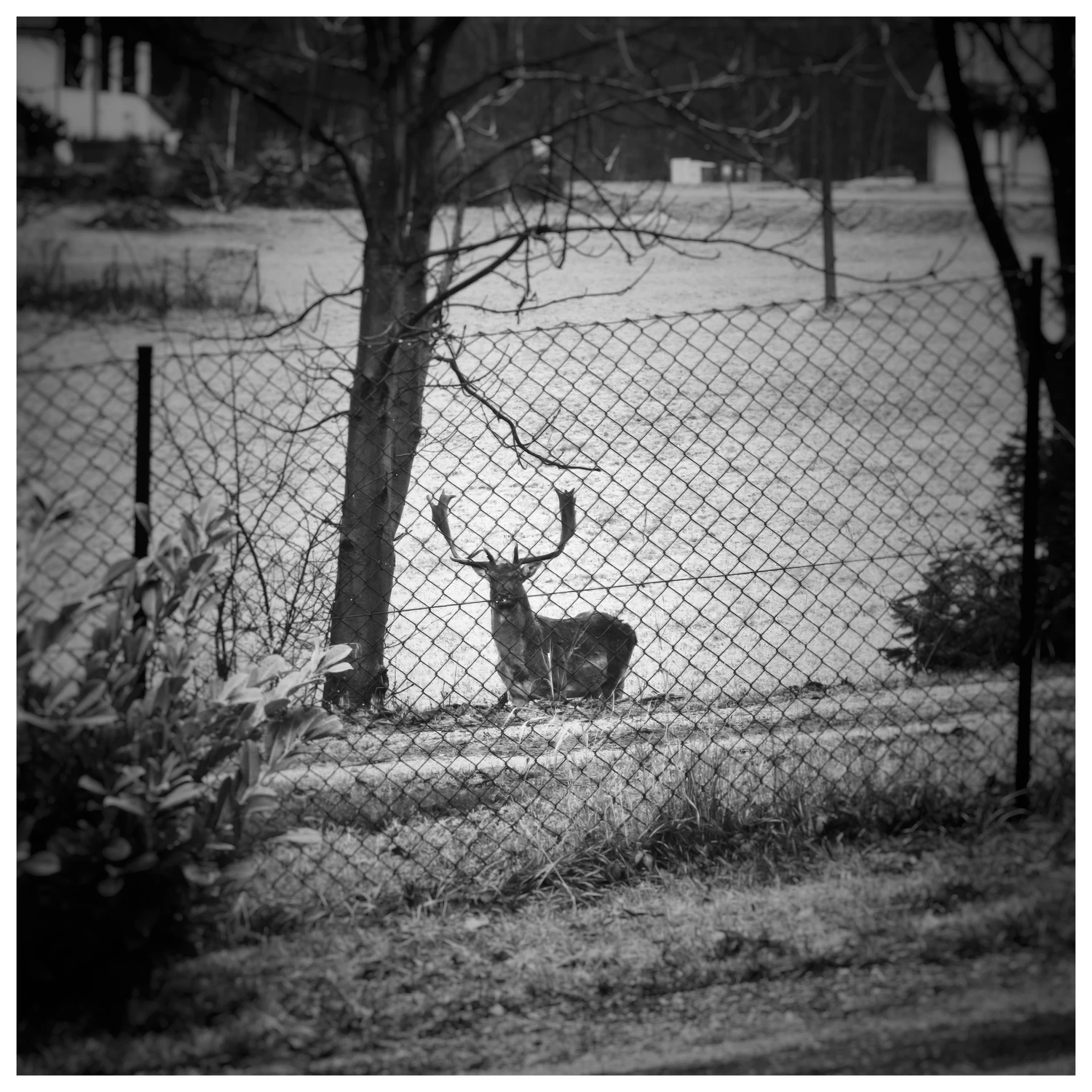 Dzień dobry sąsiadko;)